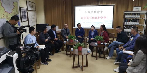 大同長城保護條例 文化沙龍第三期共獻良策，藝術(shù)活動策劃為保護賦能